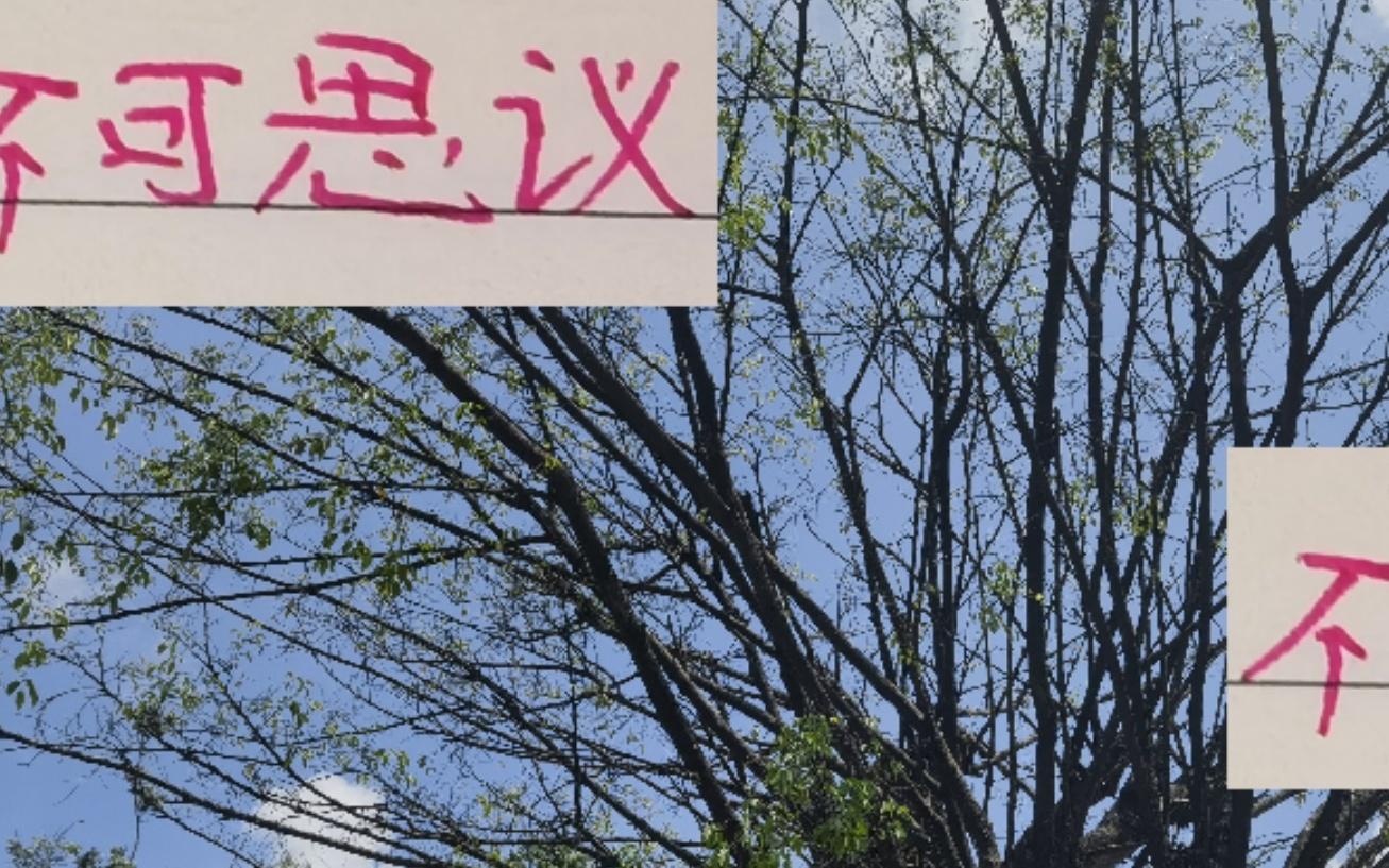 本赛季中超不可思议引援!海港JOJO算一个申花的苏神算半个