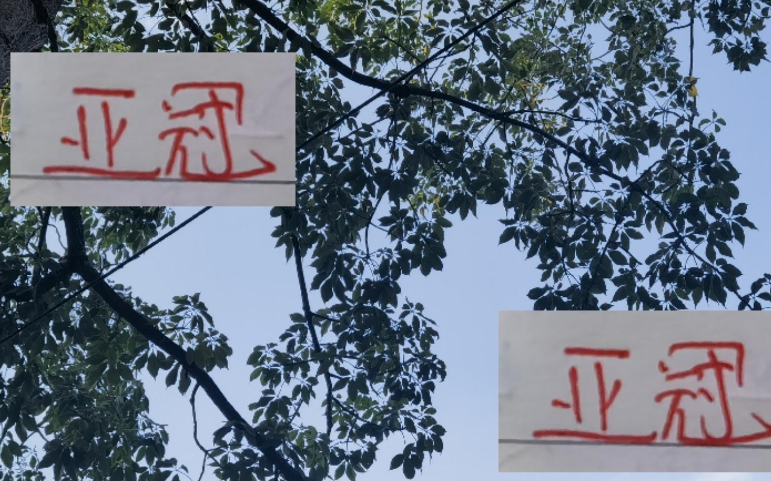 申花+海港2025年最后主场人数都没有成都蓉城多