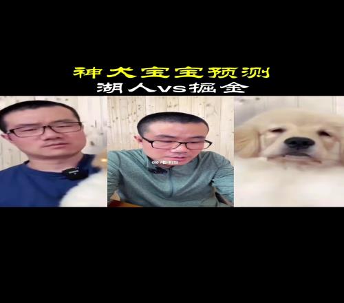 湖人危矣！徐静雨让自己的爱犬宝宝预测湖人战掘金，两次机会都是湖人输