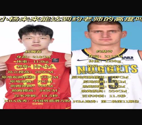 约基奇第41位被选中！杨瀚森未来能达到约老师几成高度