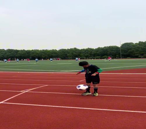 张琳芃爱妻发布社媒：记录两小只陪爸爸来复旦大学做活动的一天