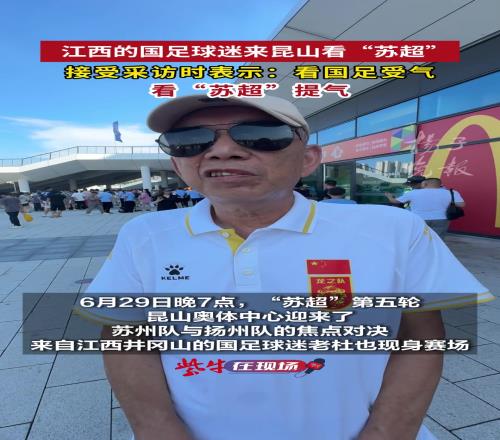 龙之队老球迷：苏超非常接地气，我看国家队比赛就是受气