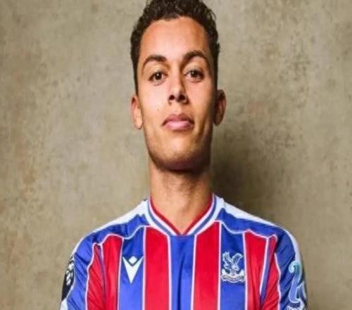 英超：水晶宫创队史转会费纪录签下布伦南约翰逊