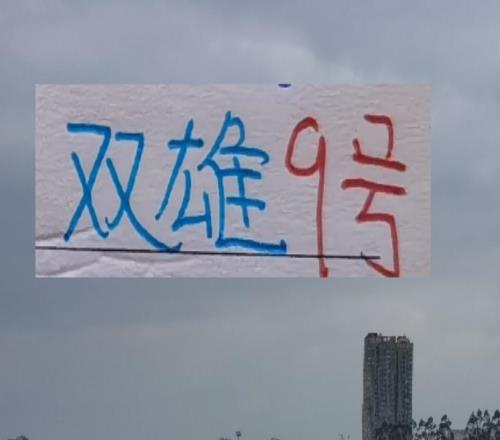 2026中超上海双雄9号要换人申花路易斯+海港古斯塔沃都踢飞合同