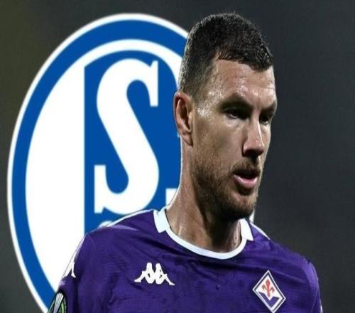 德天空：沙尔克和哲科达成口头协议，目前正与佛罗伦萨谈判