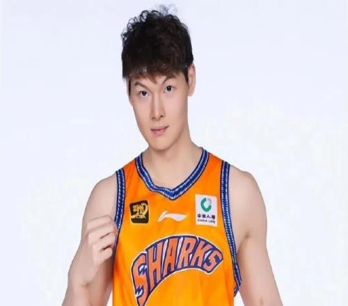 郭艾伦战上海男篮，来看看媒体怎么说，本土后卫差距