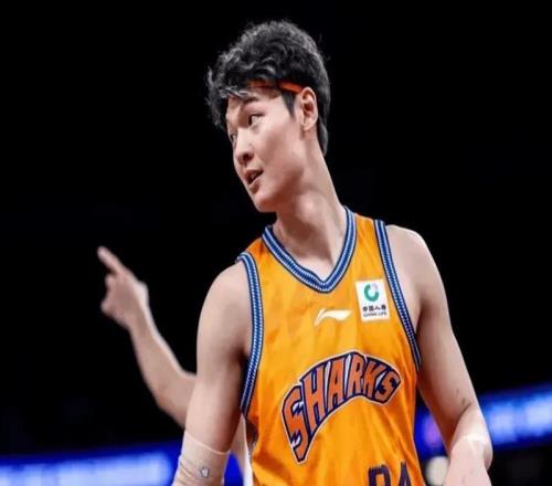 卢伟看明白了吗三内线每场都能统治局势，主打内线就对了！