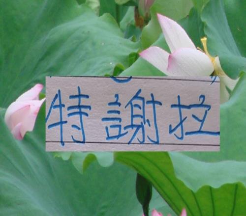 中超三大豪门嫡系爱将申花司机最喜特谢拉海港穆帅认可加布里