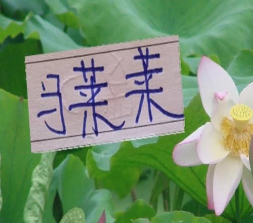 强度拉满开局！申花首轮就要见马莱莱3月转正的难度可能性没了