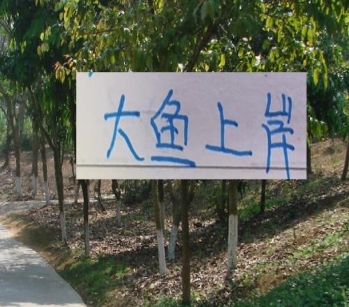 去年中超前5大鱼都上岸北京国安是德甲大货海港是本土标王