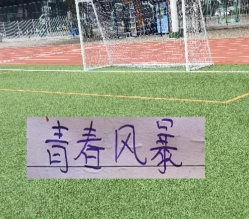 2026！中超平民球队+豪门球队海港继续青春风暴！