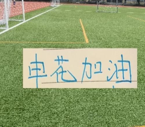 3月打北京国安！4月战海港都是申花夺冠的生死战