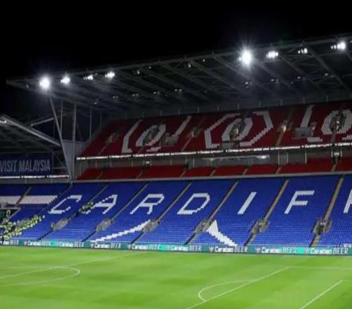 对阵切尔西的比赛球迷喊恐同口号，卡迪夫城被英足总指控