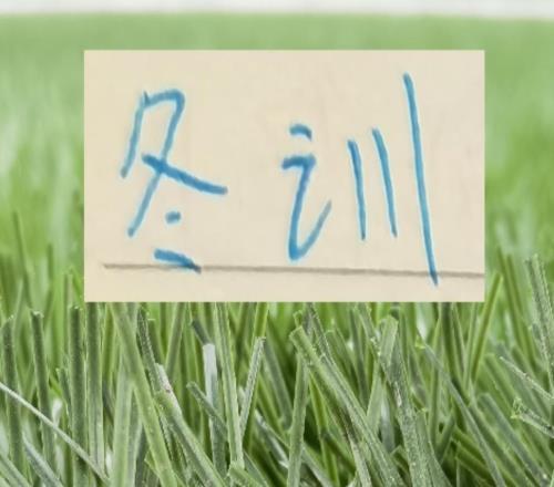 相比成都蓉城天堂开局！北京国安跟申花的开局需要更多硬气