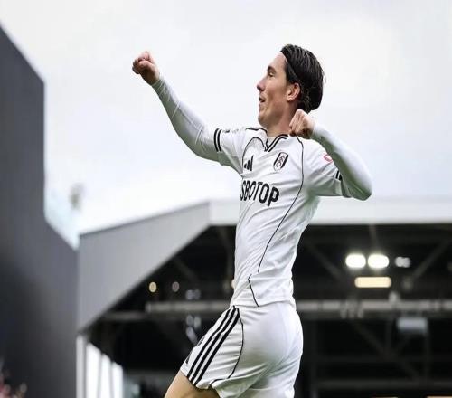 英媒：哈里威尔逊基本确定离开富勒姆，他愿加盟维拉踢欧冠