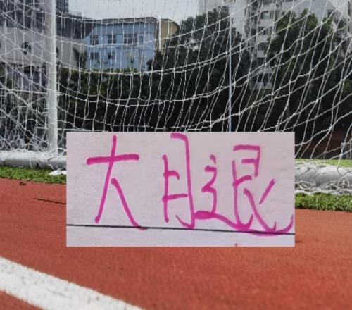 辽宁铁人外援身价比赛申花、海港还要高还有少见日本球员