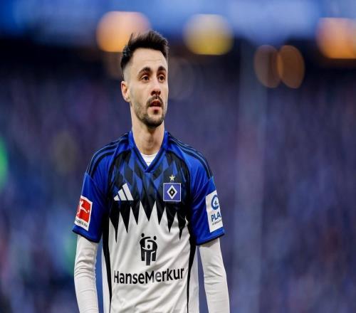 德天空：汉堡将尝试从阿森纳手中买断法比奥维埃拉