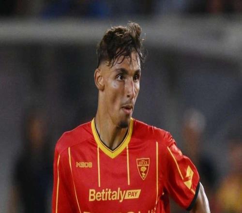 记者：布伦特福德2200万欧报价莱切中卫加布里埃尔，但被拒绝