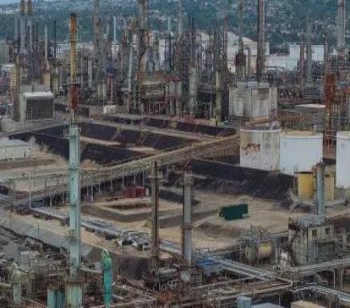 浙江广厦男篮有新变化，卫冕路上再添“强援”