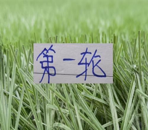 第一轮能横着走三大中锋申花是盖伊山东是克雷桑成都是费利佩