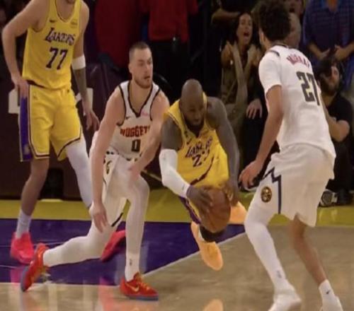 雷迪克：东契奇绝杀是个伟大的时刻从没见过詹姆斯如此飞身救球