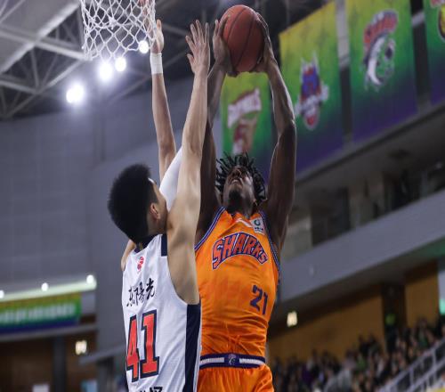 CCTV5直播！上海VS广东严阵以待，4内线围剿萨林杰，杜锋难以招架