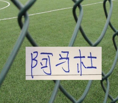 前3轮！中超球队找到宝藏外援申花送给重庆阿马杜真是捡漏