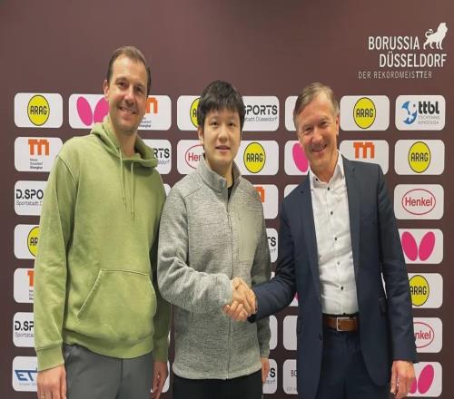 樊振东，继续在德甲打球