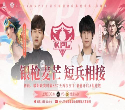 小麦后羿大招强行开团拿下胜利！WB21EDG