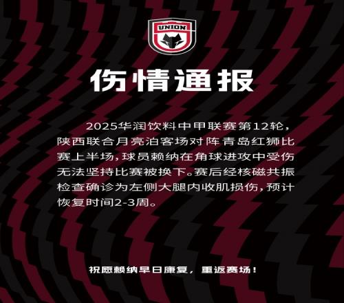 陕西联合官方：中卫赖纳左侧大腿内收肌损伤，预计恢复时间23周
