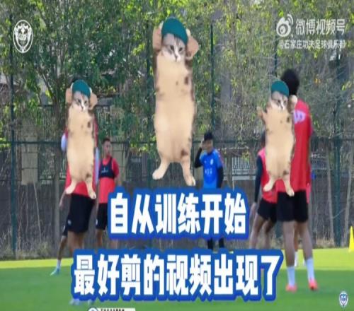 一定要看到最后的功夫训练视频