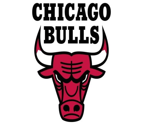 诺克斯与公牛达成签约，NBA生涯前七年更换五支球队