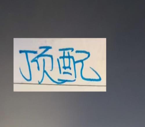 申花说实话差的是外援本土球员都是顶配