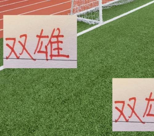 不愧是中超双雄！本赛季申花主场最强海港客场最帅