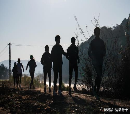 低压缺氧的馈赠：为何高原训练是马拉松突破极限的最后一块拼图