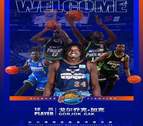 告别全华班！四川男篮官宣签NBL场均3+2中锋加克此前4战全败