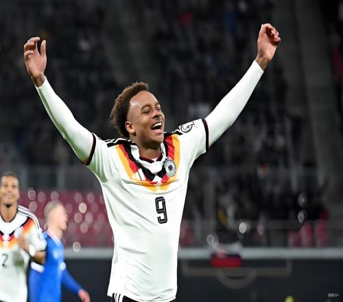 韦德拉奥果：在莱比锡红牛闪耀德甲赛场