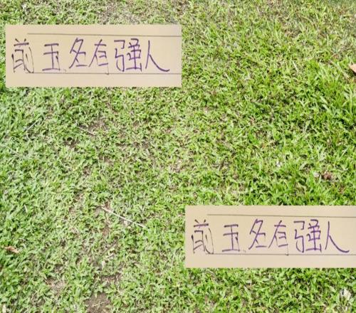 今年中超不像去年进球+助攻的王者都在海港前5里面都有能人