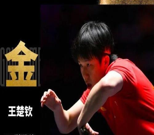 王楚钦WTT男单夺冠