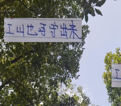 江山也可以守出来！中超排名第一成都丢球刚18个关键门将靠谱