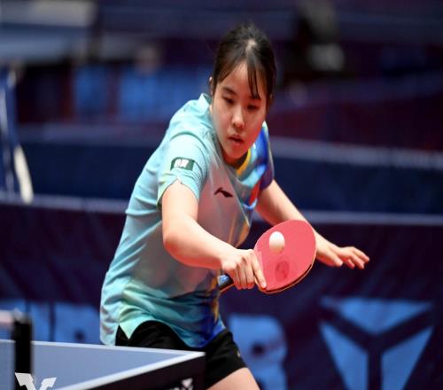 3-0夺冠！中国女乒17岁削球新星崛起：刘诗雯师妹变黑马逆袭
