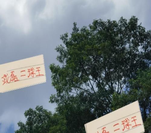 从乙级联赛一路打到顶级强队武磊不愧是海港的一期大师兄
