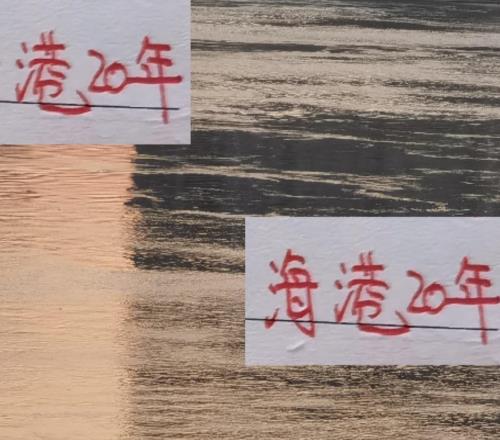 海港也快20年！今年联赛主场破3万人收官战能再拿第4个冠军吗