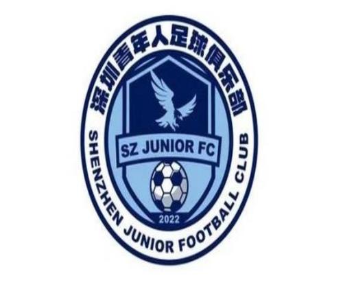 深晚：深圳青年人新赛季想换个活法，正在关注中超级别的外援