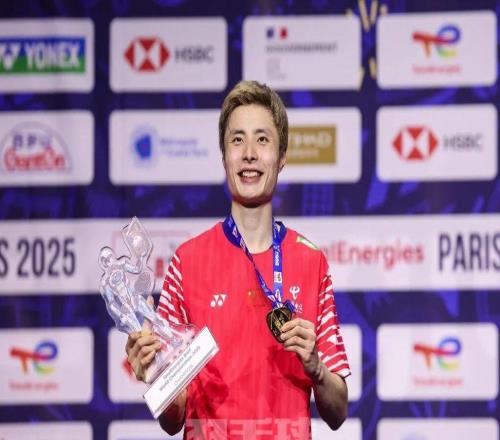 回眸•高山低谷皆为宝贵财富：男单篇