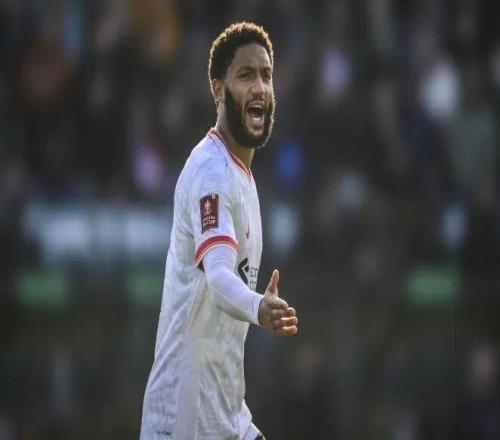 全市场丨米兰考虑冬窗再追求乔戈麦斯