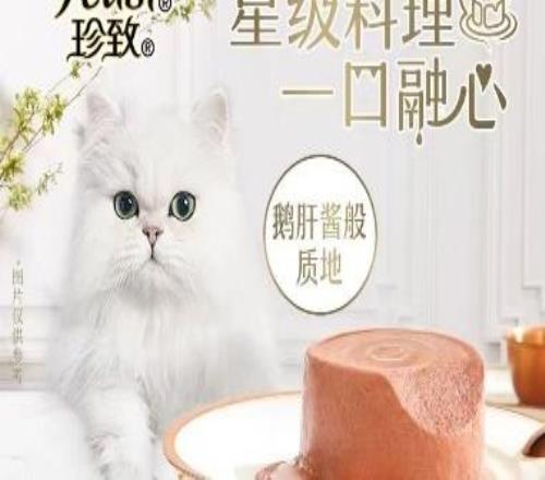 汪星人集合！「崇悦同萌」欢乐跑赛事规程发布，3 公里萌趣之旅等你冲！