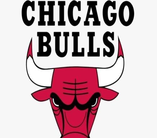 本赛季会如何公牛队史前两次5胜0负开局均最终夺冠