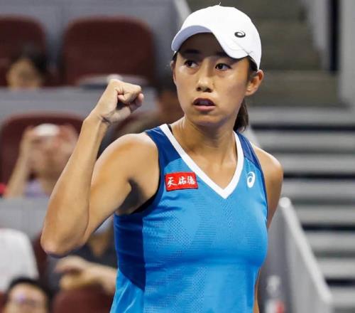 张帅为何不参加全运会？网友三重猜测，与网协尘封多年矛盾被扒出