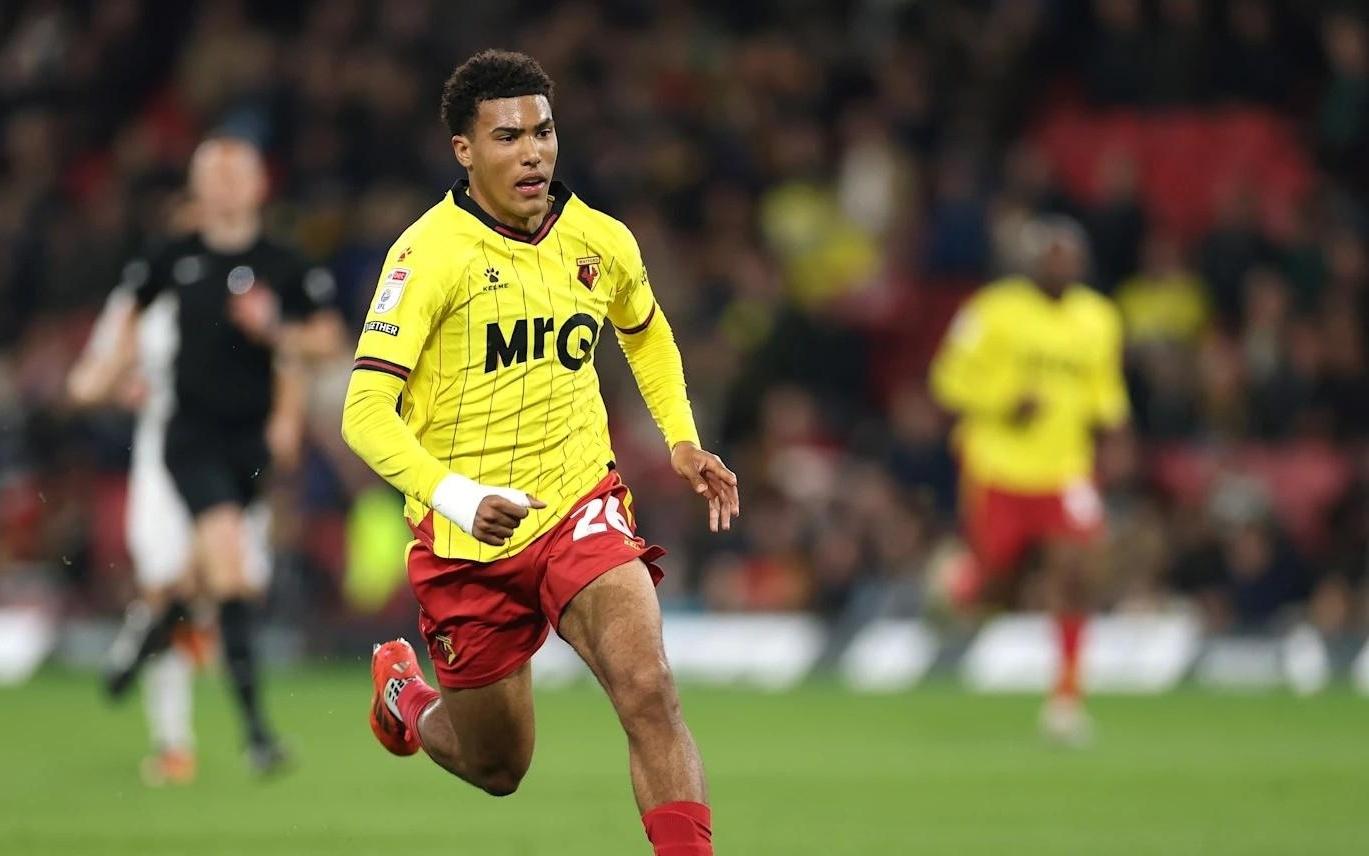 官方：切尔西从沃特福德召回21岁后卫威利